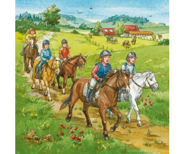 Ravensburger Puzzle 3x49 pc A Day with Horses Puzzle