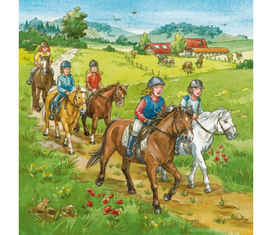 Ravensburger Puzzle 3x49 pc A Day with Horses Puzzle