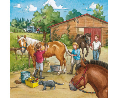 Ravensburger Puzzle 3x49 pc A Day with Horses Puzzle