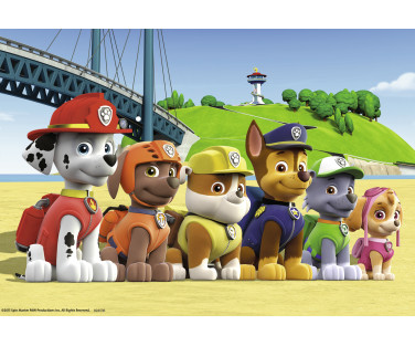 Ravensburger Puzzle 2x24 pc Paw Patrol