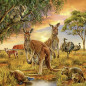 Ravensburger Puzzle 3x49 pc World Animals