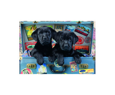 Dino puzzle 500 Pc Puppies in a Suitcase