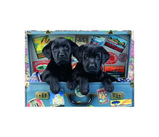 Dino puzzle 500 Pc Puppies in a Suitcase