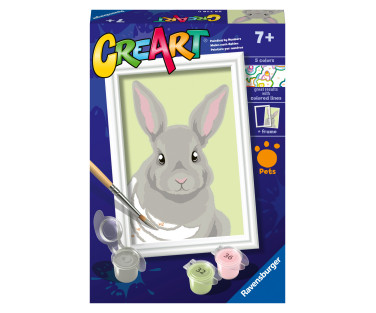 Ravensburger Paint by Numbers Gray Rabbit