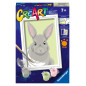 Ravensburger Paint by Numbers Gray Rabbit