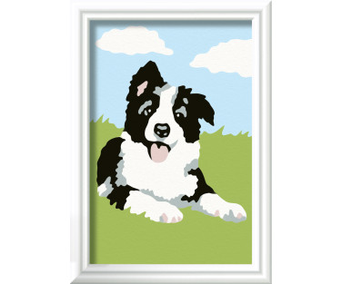 Ravensburger Paint by Numbers Border Collie