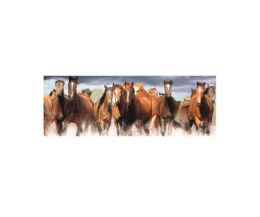 Dino panoramic puzzle 150 pcs Horses