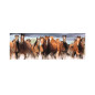 Dino panoramic puzzle 150 pcs Horses