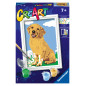 Ravensburger Paint by Numbers Friendly Retriever