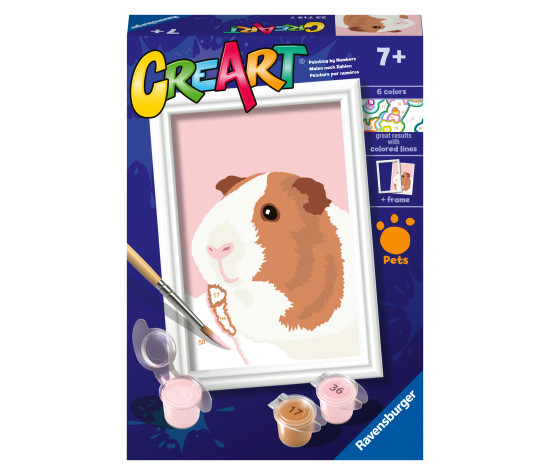 Ravensburger Paint by Numbers Guinea Pig