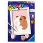Ravensburger Paint by Numbers Guinea Pig