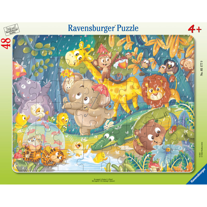 Ravensburger Frame Puzzle 48 pc It's Raining