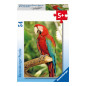 Ravensburger Mini-Puzzle 54 pc Exotic Animals