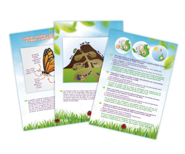 Buki Insect Explorer Kit