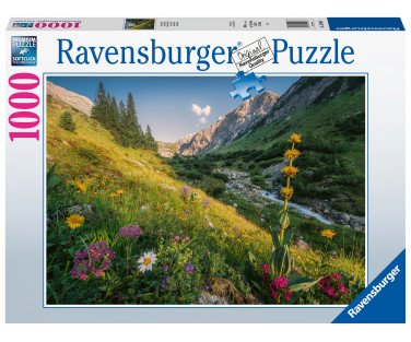 Ravensburger Puzzle 1000 pc Magical Valley