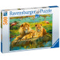 Ravensburger Puzzle 500 pc Lions in the Savannah