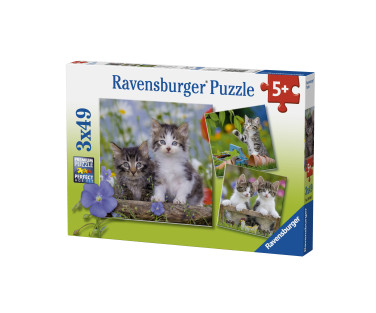 Ravensburger Puzzle 3x49 pc Kittens