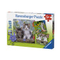 Ravensburger Puzzle 3x49 pc Kittens