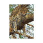 Dino Puzzle 1000 pc Leopard