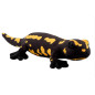 Wild Planet pehme mänguasi salamander 30 cm