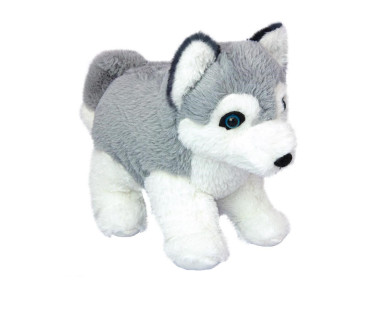 Wild Planet pehme mänguasi, husky kutsikas 25 cm