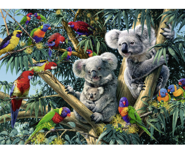 Ravensburger Puzzle 500 pc Koalas on a Tree