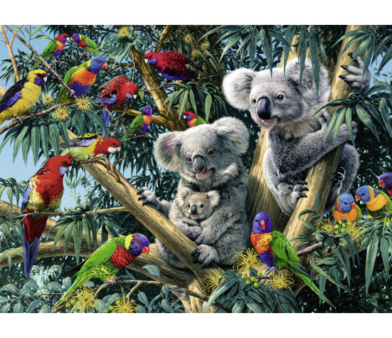 Ravensburger Puzzle 500 pc Koalas on a Tree