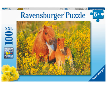 Ravensburger pusle 100 tk Ponid