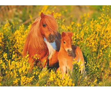 Ravensburger Puzzle 100 pc Ponies