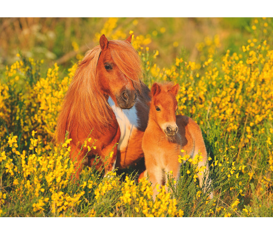 Ravensburger Puzzle 100 pc Ponies