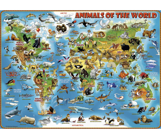 Ravensburger Puzzle 300 pc Animals of the World