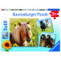 Ravensburger pusle 3x49 tk Hobused