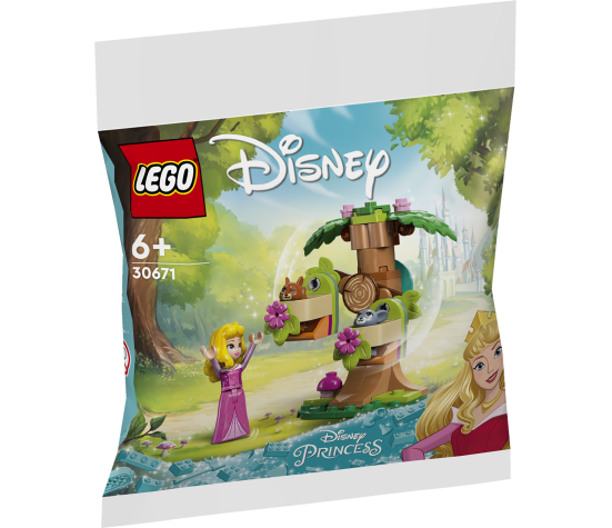 LEGO Disney Aurora metsa mänguväljak